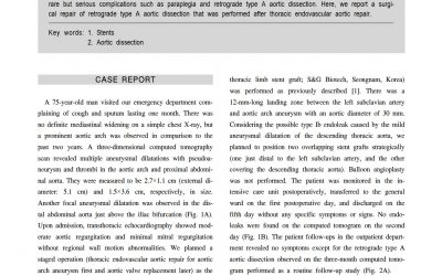 SEAL Flex case report sugical repair(Flex Sugical repair)