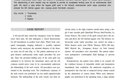 SEAL Flex case report(Flex debranching)