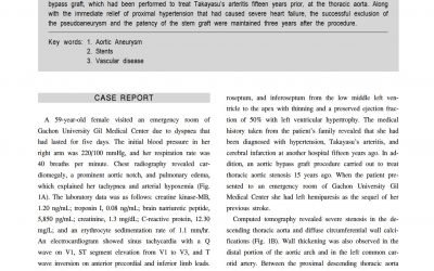 SEAL Flex case report(Flex Takayasu)