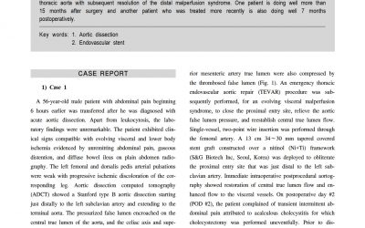 SEAL Flex case report(Flex TEVAR)