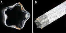 Case_Novel flower-type covered metal stent