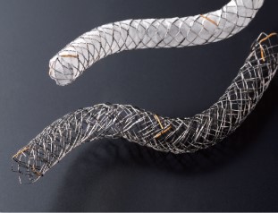 Case_Biliary Stent Braided 6 (Japan)