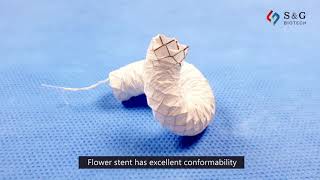 EGIS Flower Stent